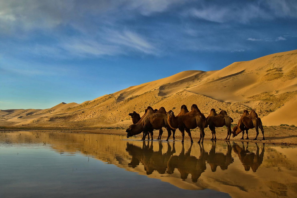 Hongor sand dunes